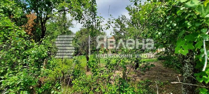 Продава се Парцел в с. Българи, Област Бургас - 500 кв.м за 40 €/кв.м - Снимка #5