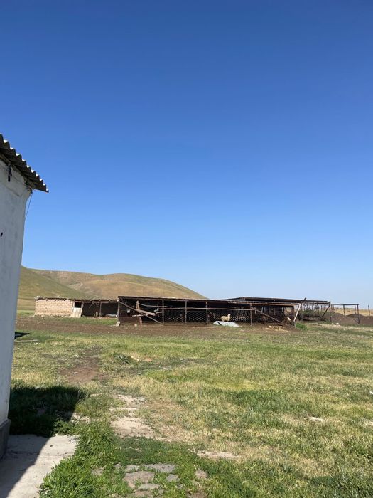 Фазенда в Акыртобе