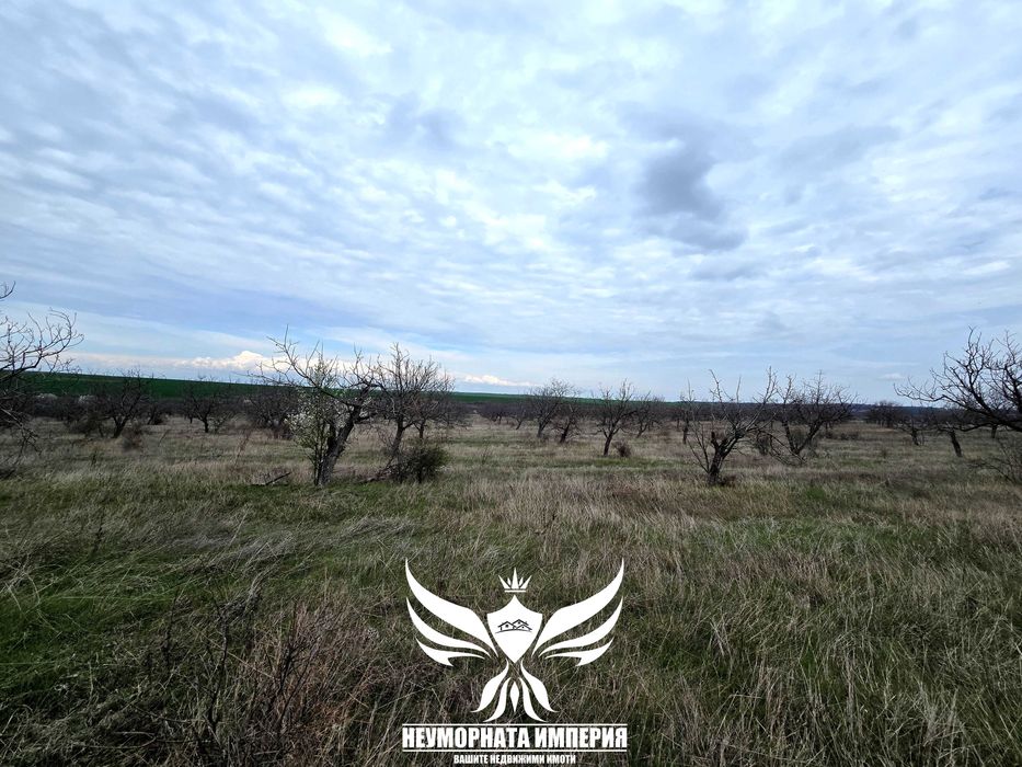 Продава се Парцел в Асеновград - 3943 кв.м за 7 €/кв.м - Снимка #8