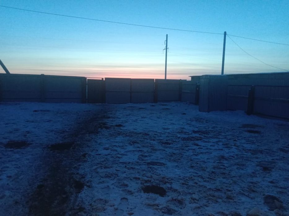 Сельское хозяйство