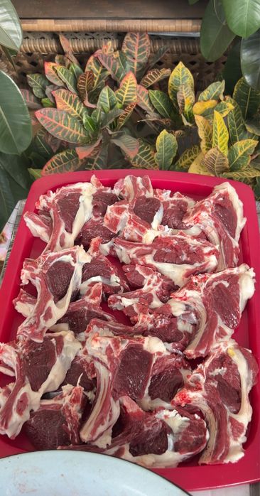 Qassob xizmati va qo'chqorlar