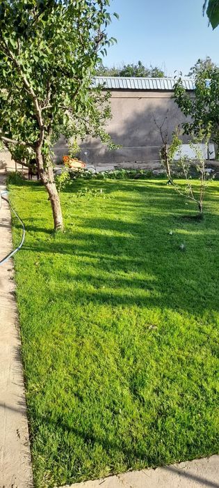 Dacha sotiladi Bostonliq Bochkaga 15-20 km yetmasdan