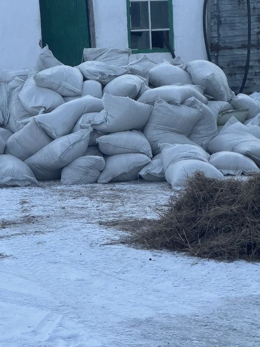 Ячмень дробленый в наличии