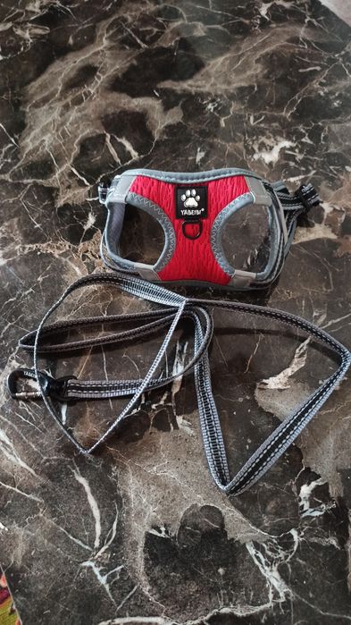 Продам шлейку для маленьких щенков.