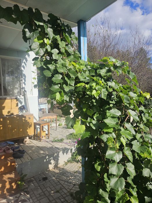 Продам дачу общество Черёмушки