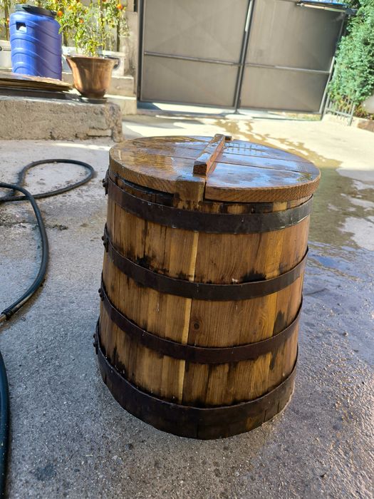 Дъбова каца          .