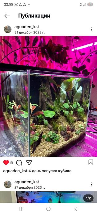 Аквариумные услуги чистка