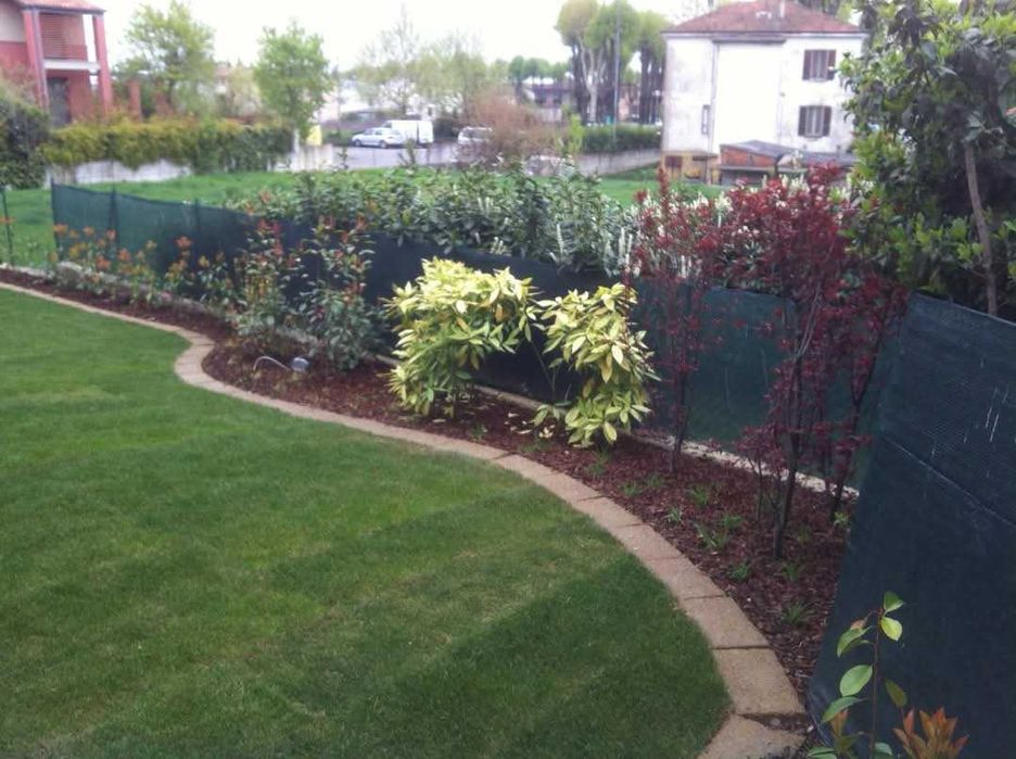 Amenajări și întreținere spații verzi