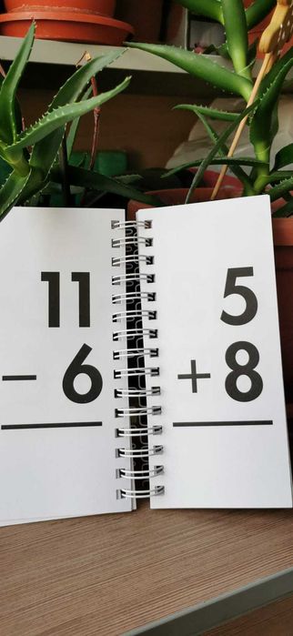 1-100 Activity Book. Flashcards"Flip Flash Math- adunare. WIPE-OFF