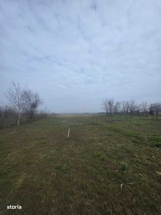 Teren intravilan, 5000 mp, zona Rovine 2 UTILITATI