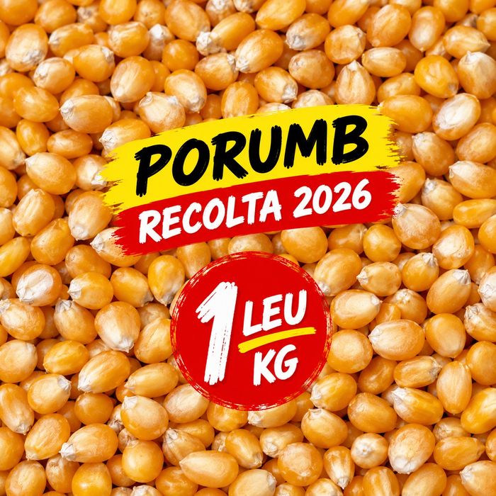 Vând porumb recolta 2026 - 1 ron kg