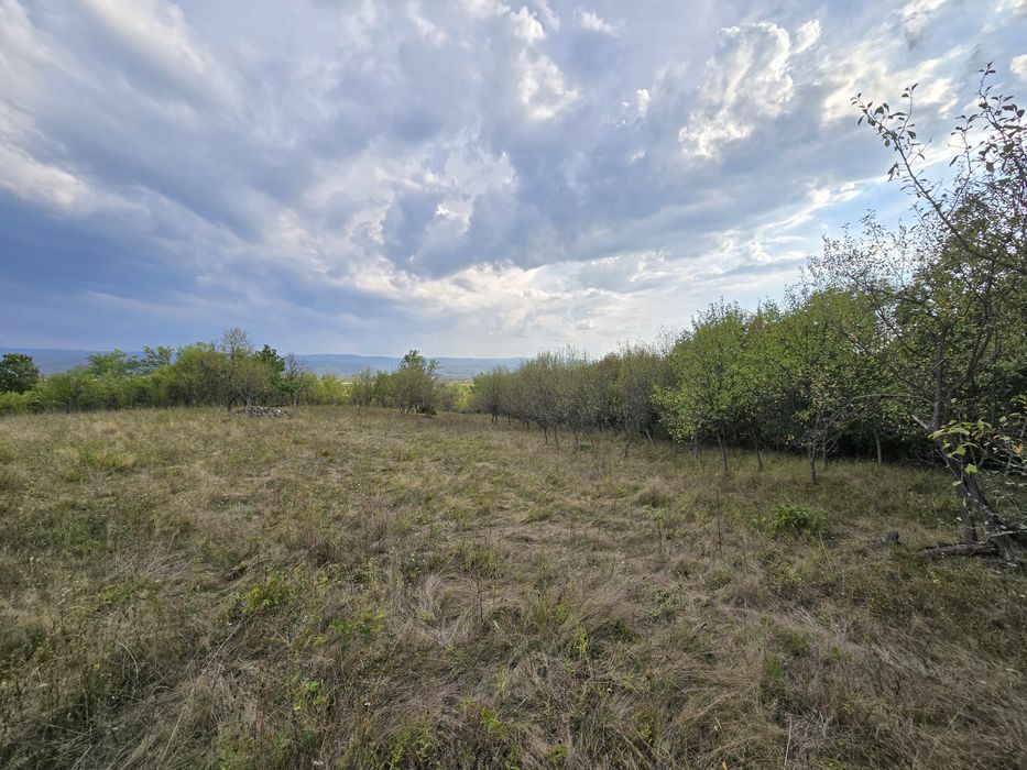 Vand teren in loc. Ulies, com. Gurasada, jud. Hunedoara