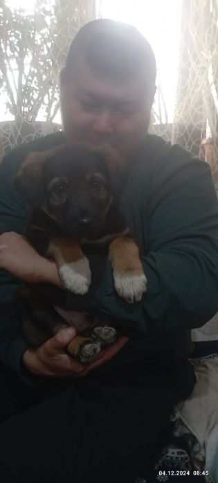 Зотдор Кучук бола