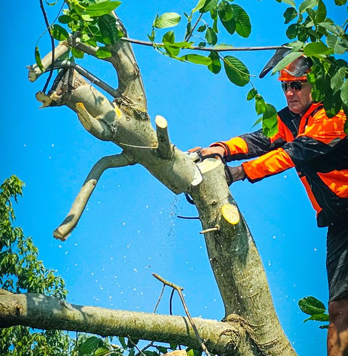 Дробилка за клони - гранинарски услуги