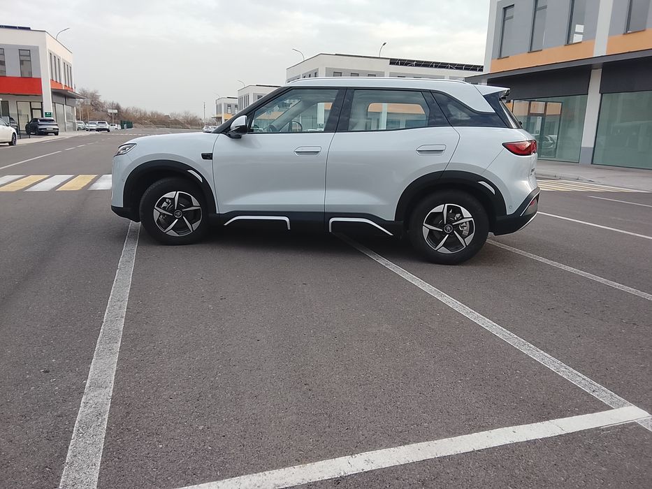 BYD yuan up full 2025