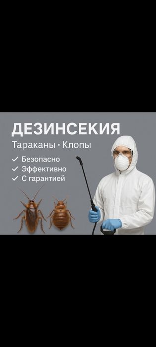 Дезинфекция Шымкент қаласы