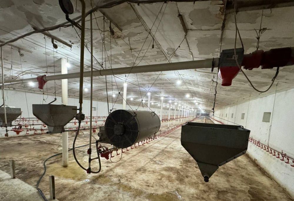 Продаётся птицеферма