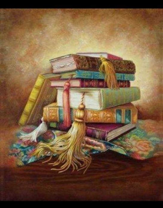 Meditații limba română