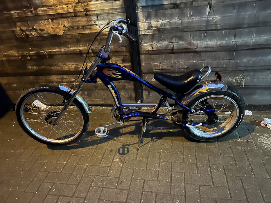 Bicicleta  pentru pasionati