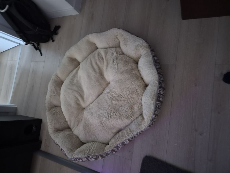 Patut / perna pentru caine