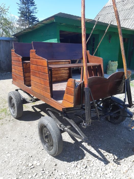 De vanzare ponei  si trasura