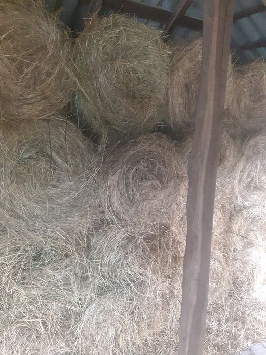 Vand baloti de fan rotunzi