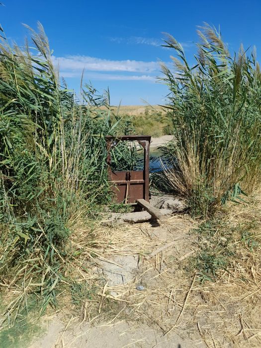 Жер жалга бериледи