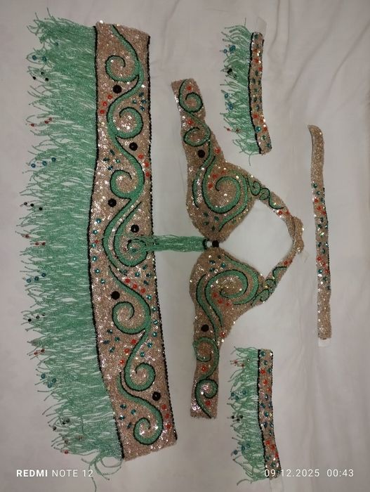 Костюм для танца.