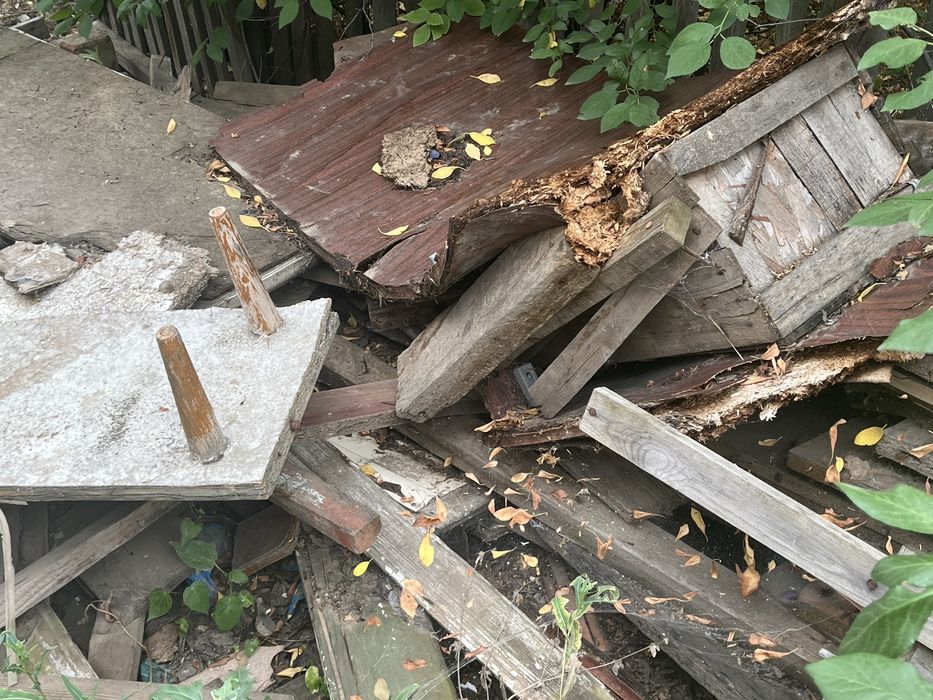 Отынға ағаш, Дрова