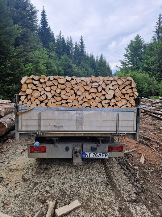 Lemne de foc esenta tare fag