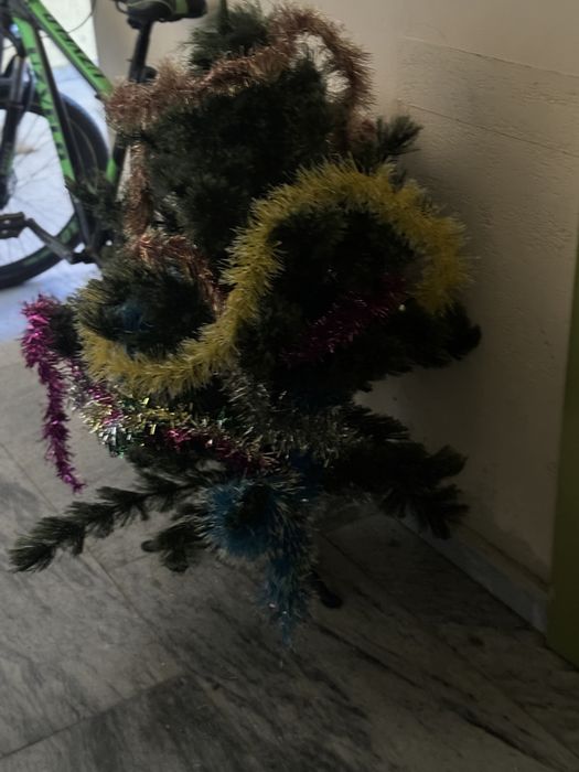 Елка котирилган чиройли