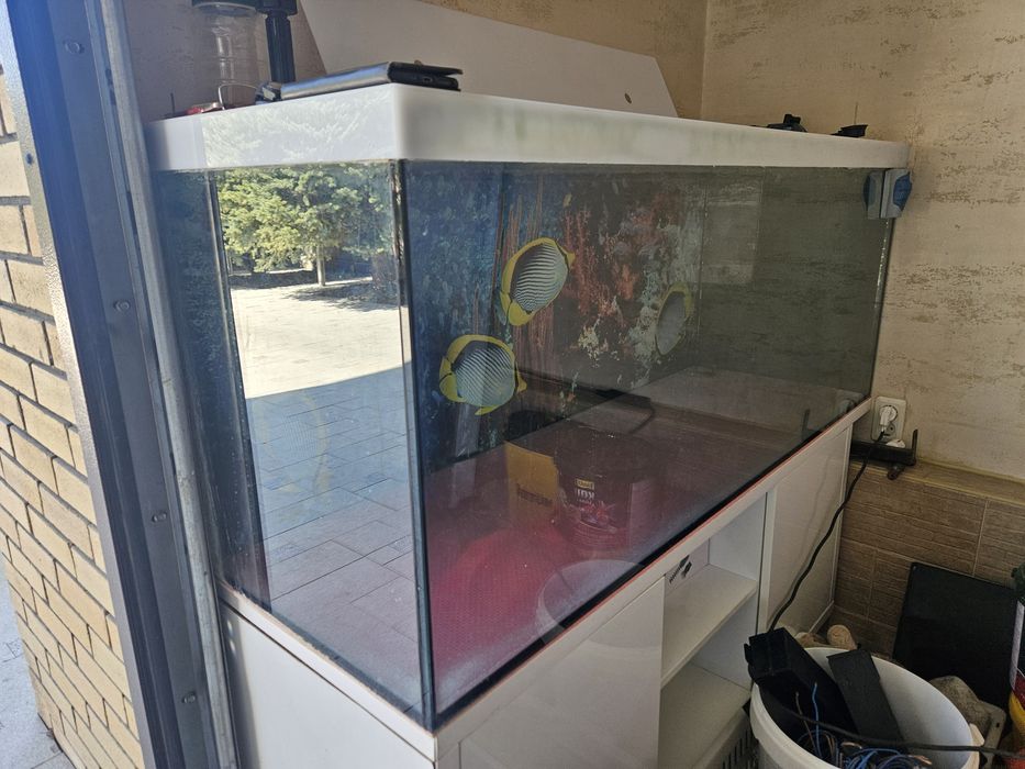 Аквариум для рыб