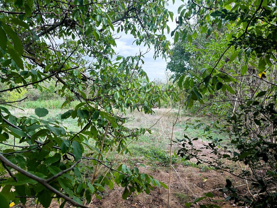 Продава се Къща в с. Млада гвардия, Област Варна - 230 кв.м за 266 €/кв.м - Снимка #9