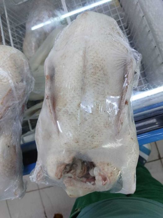 Продам мясо утки