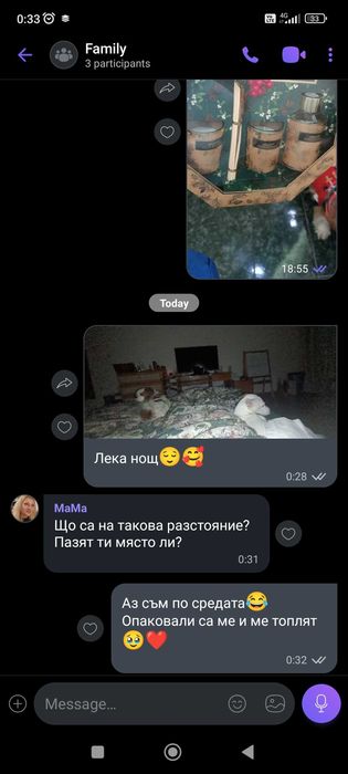 Грууминг в домашни условия