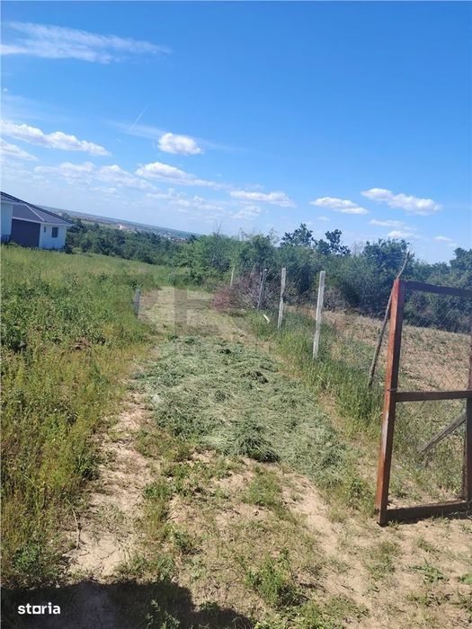 RECO Teren intravilan Paleu