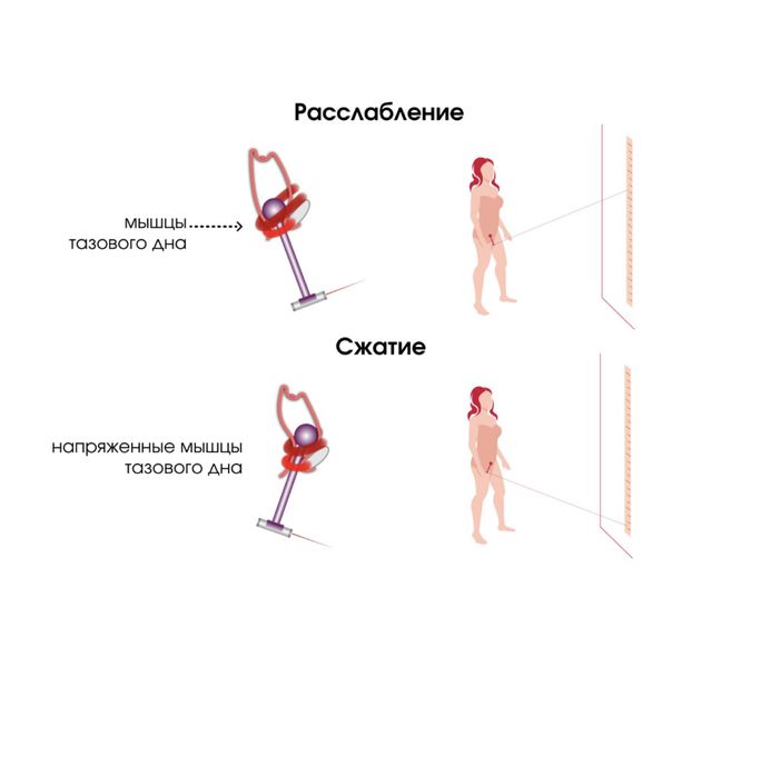 Лазерный тренажер для женщин”Вагитон”