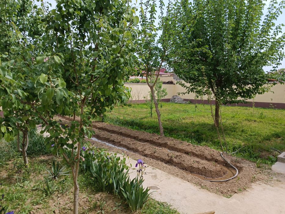 Уй сотилади. Коттедж