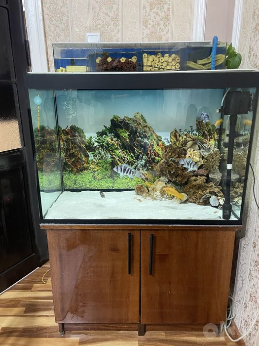 Akvarium 250 L + tumba, filtr va barcha jihozlari bilan