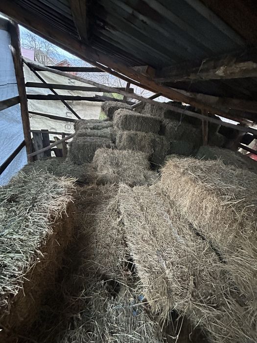 Vând baloți de fân