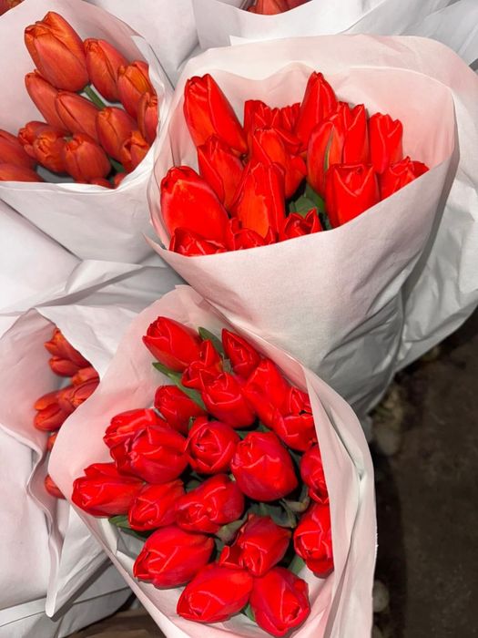 Тюльпаны букет букеты цветы цветов