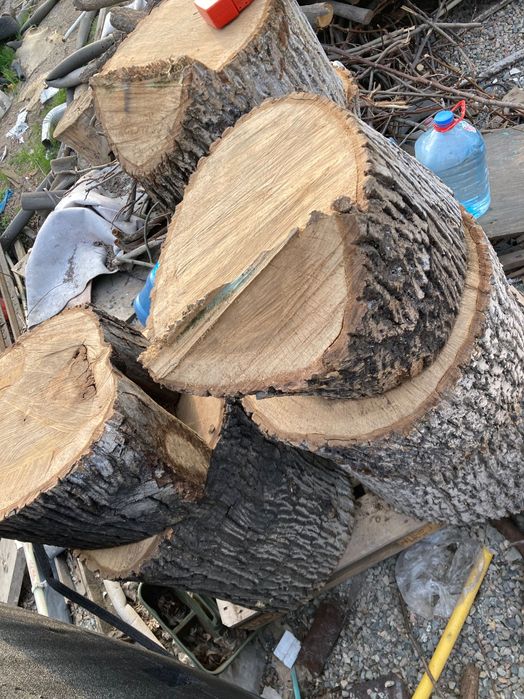 Продам спиленные бревна ореха