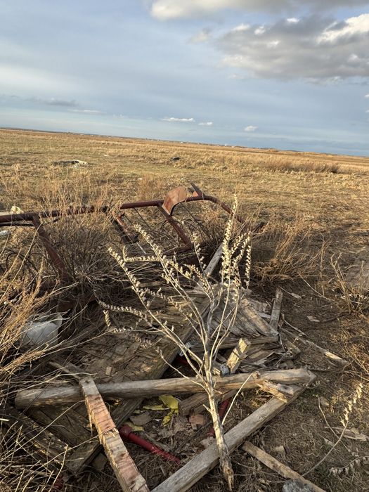 Продам грабли на трактор