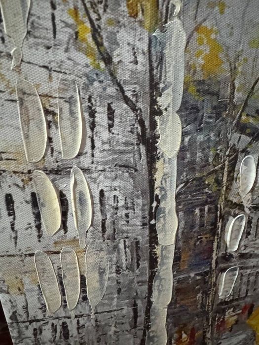 Шикарнык картины