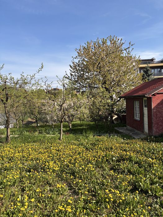 Teren de vanzare  cu, casa (printre ultimele ramase in zona)strada Macesului nr 17, cartier Buna ziua + casa