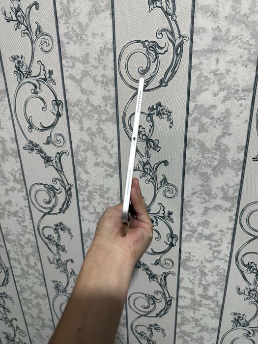 Ipad pro 120 fps