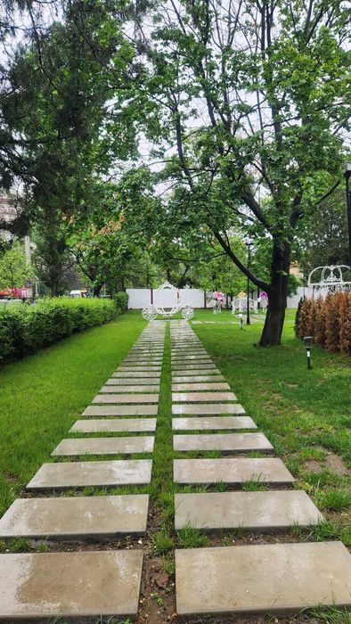 Pasi japonezi,dale beton armat , prefabricate ,pavaj,pasi de pisica