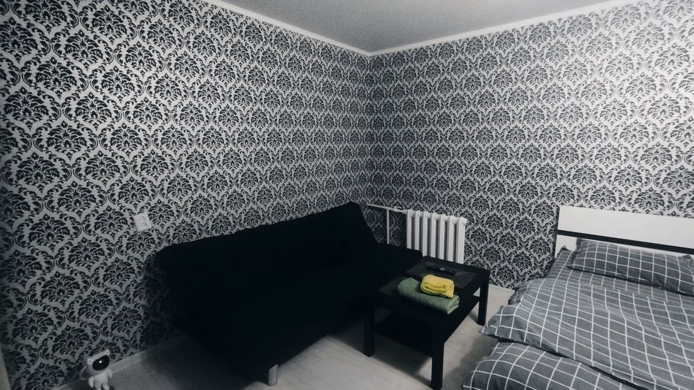 Однушка  в центре Абая 66