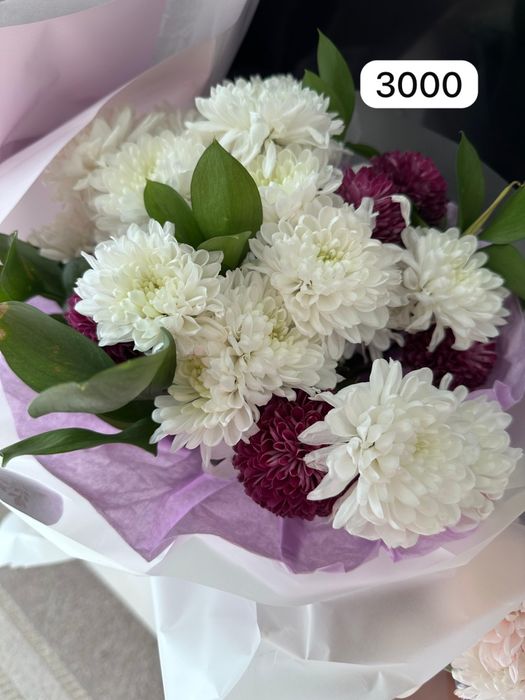 Срочно продам цветы