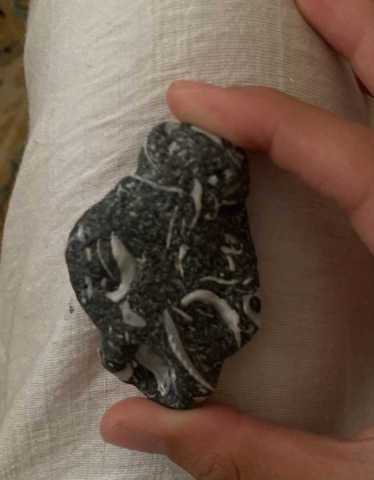 Продам камень морской